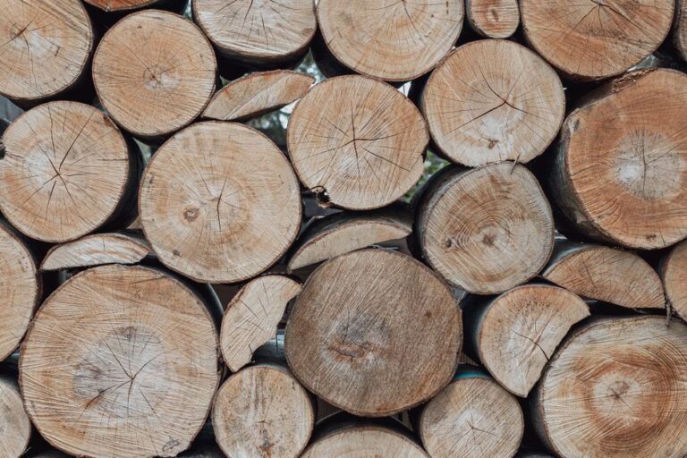 Sustainable Wood Products for Every Room in Your Home